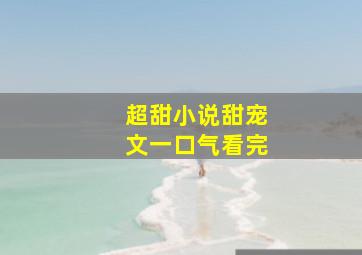 超甜小说甜宠文一口气看完