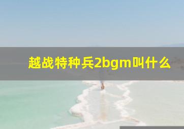 越战特种兵2bgm叫什么