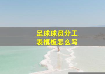 足球球员分工表模板怎么写