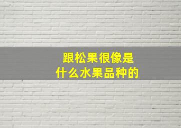 跟松果很像是什么水果品种的