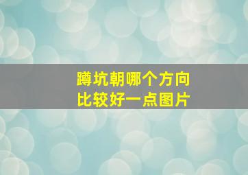 蹲坑朝哪个方向比较好一点图片