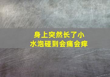 身上突然长了小水泡碰到会痛会痒