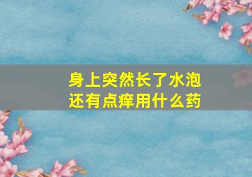 身上突然长了水泡还有点痒用什么药