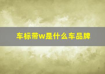 车标带w是什么车品牌