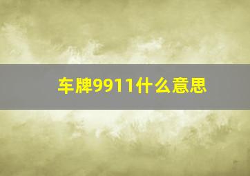 车牌9911什么意思