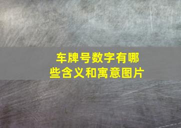 车牌号数字有哪些含义和寓意图片