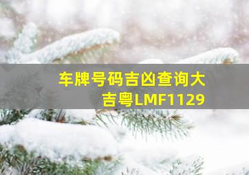 车牌号码吉凶查询大吉粤LMF1129