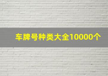 车牌号种类大全10000个