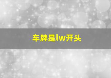 车牌是lw开头