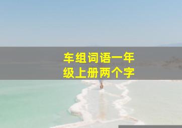 车组词语一年级上册两个字