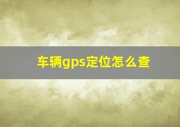 车辆gps定位怎么查