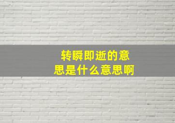 转瞬即逝的意思是什么意思啊