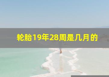 轮胎19年28周是几月的