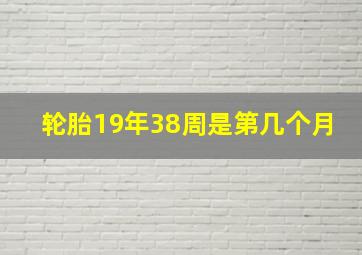 轮胎19年38周是第几个月