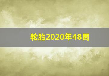 轮胎2020年48周