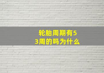 轮胎周期有53周的吗为什么