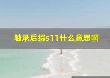 轴承后缀s11什么意思啊