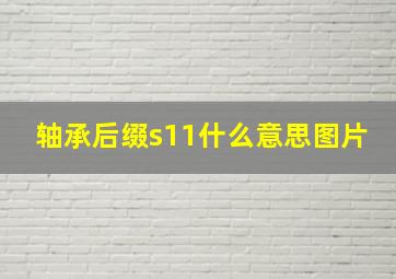 轴承后缀s11什么意思图片