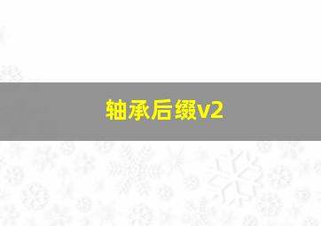 轴承后缀v2