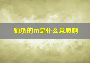 轴承的m是什么意思啊