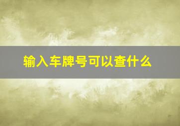 输入车牌号可以查什么