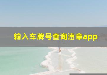 输入车牌号查询违章app