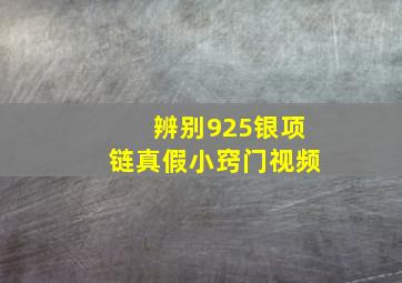 辨别925银项链真假小窍门视频