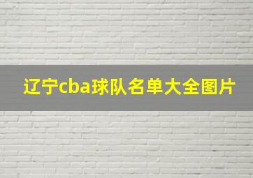 辽宁cba球队名单大全图片