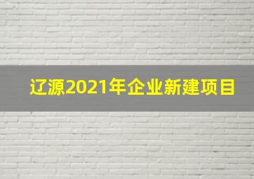 辽源2021年企业新建项目