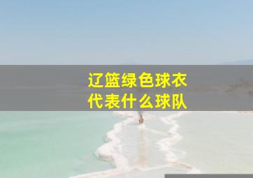 辽篮绿色球衣代表什么球队