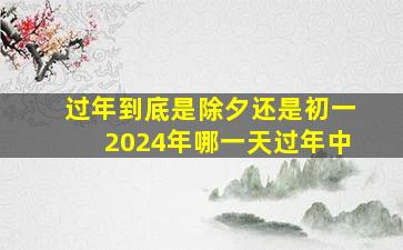 过年到底是除夕还是初一2024年哪一天过年中