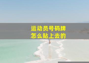 运动员号码牌怎么贴上去的