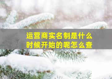 运营商实名制是什么时候开始的呢怎么查