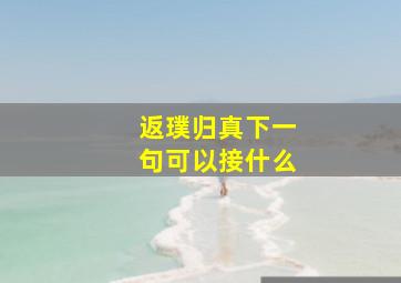 返璞归真下一句可以接什么