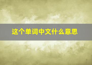 这个单词中文什么意思