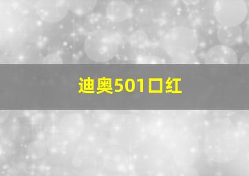 迪奥501口红