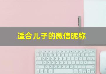 适合儿子的微信昵称