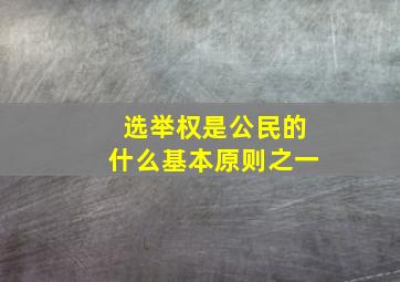 选举权是公民的什么基本原则之一