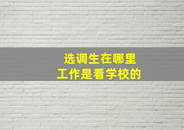 选调生在哪里工作是看学校的