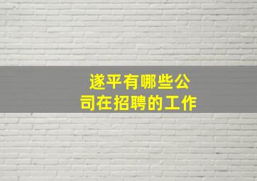 遂平有哪些公司在招聘的工作