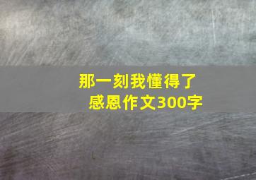 那一刻我懂得了感恩作文300字