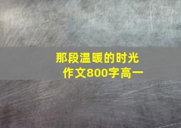 那段温暖的时光作文800字高一