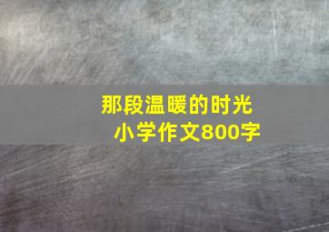 那段温暖的时光小学作文800字