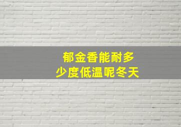 郁金香能耐多少度低温呢冬天