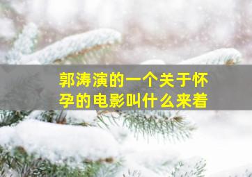 郭涛演的一个关于怀孕的电影叫什么来着