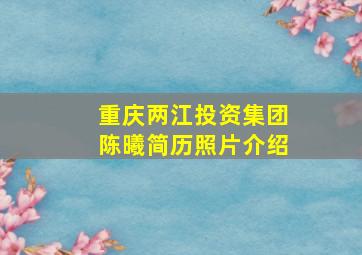 重庆两江投资集团陈曦简历照片介绍