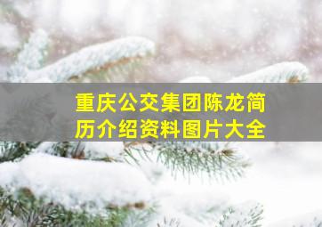 重庆公交集团陈龙简历介绍资料图片大全