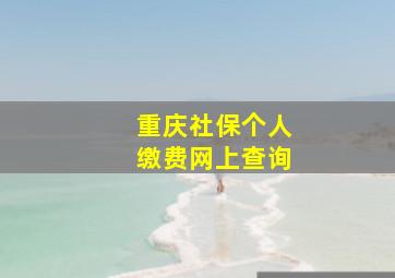 重庆社保个人缴费网上查询