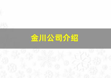 金川公司介绍