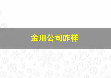 金川公司咋样